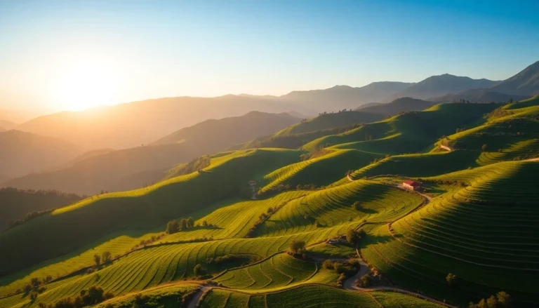 산골짜기 밭 20만원, 당신의 재테크와 창업을 바꿀 기회다